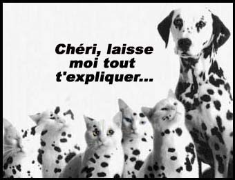 ahahahahahah