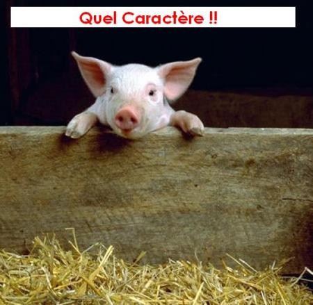 Quel Caractère !!
