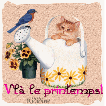 il arrive !
