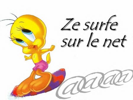 Le net