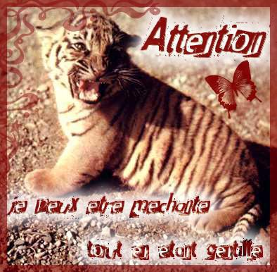 ATTENTION